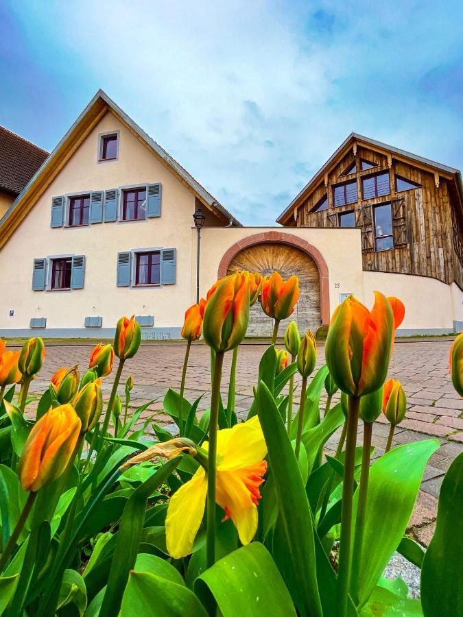 Storchenhof Teningen Ngoại thất bức ảnh